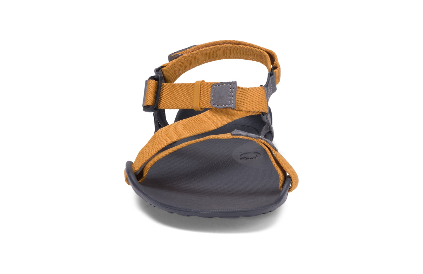 Xero Shoes Z-Trek Men barfods sandaler til mænd i farven nugget, forfra