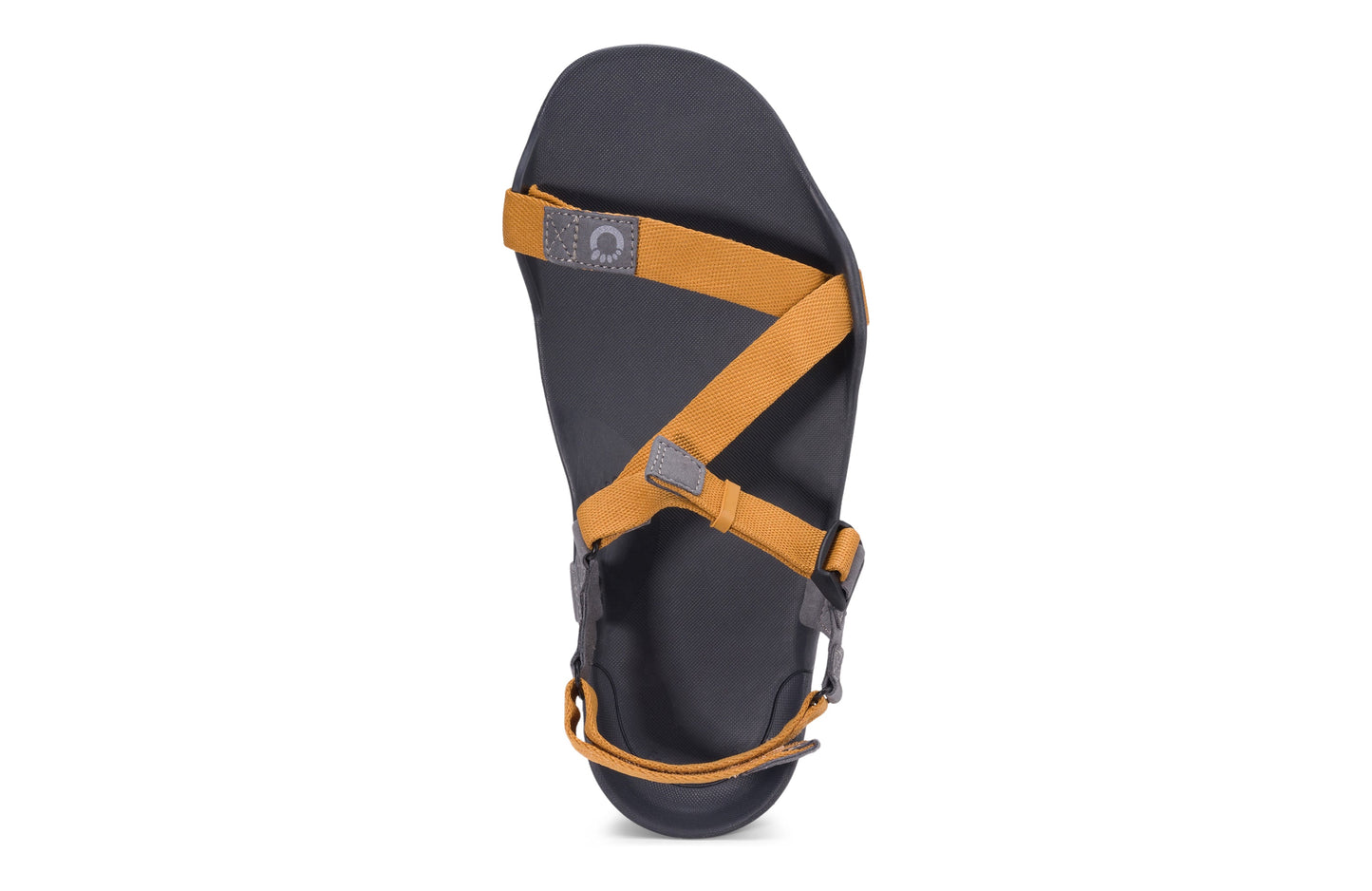 Xero Shoes Z-Trek Men barfods sandaler til mænd i farven nugget, top