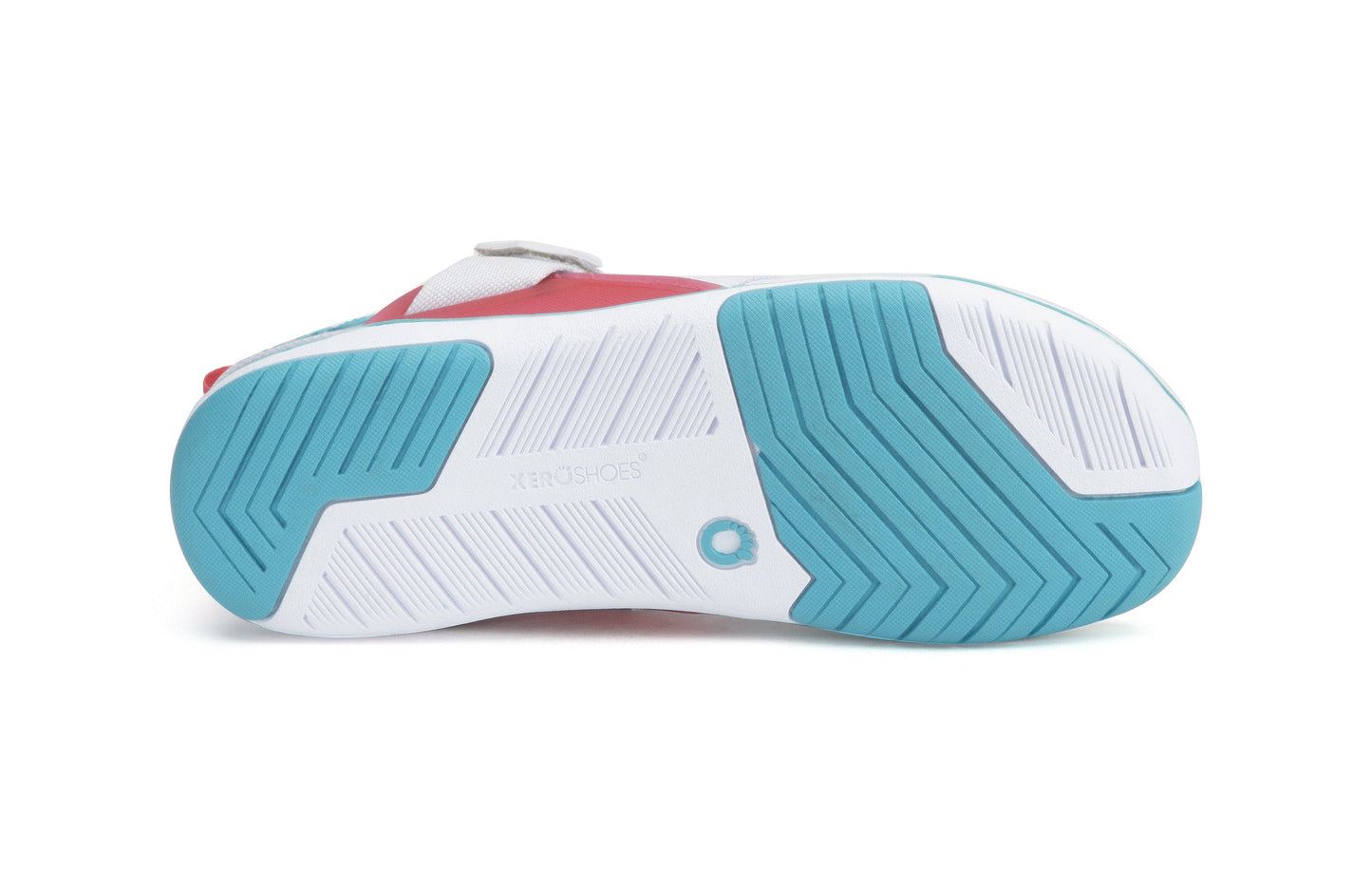 Xero Shoes Forza Trainer Womens barfods træningssko til kvinder i farven white / scuba blue, saal
