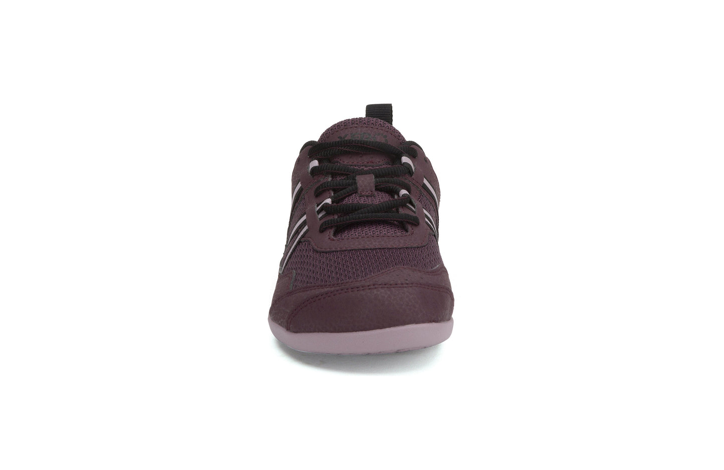 Xero Shoes Prio Womens barfods træningssko til kvinder i farven fig/elderberry, forfra