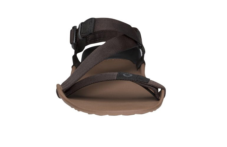 Xero Shoes Z-Trek Men barfods sandaler til mænd i farven mocha earth, forfra